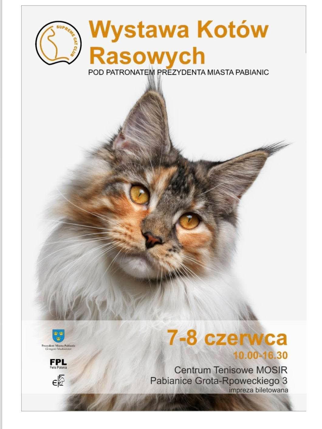 Międzynarodowa Wystawa Kotów Rasowych Pabianice Międzynarodowa Wystawa Kotów Rasowych Pabianice