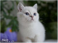 /milky