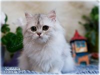 /markiza