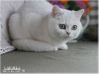 /gabriela