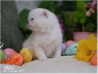 /milky