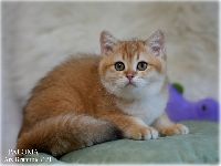/paloma