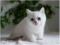 /milky