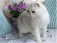 /vadim