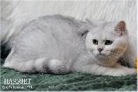 /harriet