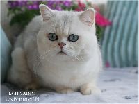 /vadim