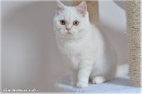 /telma