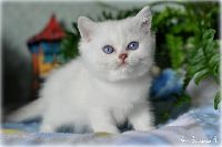 /babette