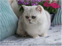 /vadim