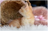 /tilda