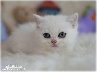 /gabriela