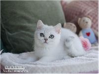 /galadriela