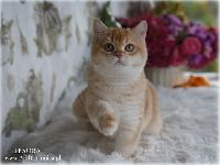 /tesora