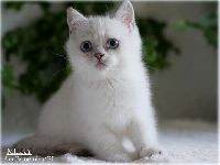/milky