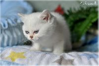 /babette
