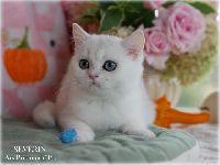 /severin
