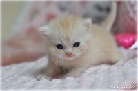 /telma
