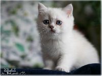 /milky