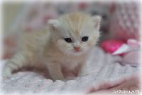 /telma