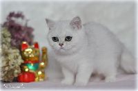 /sybilla
