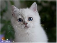 /milky