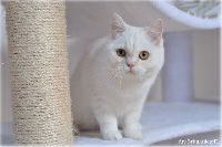/telma