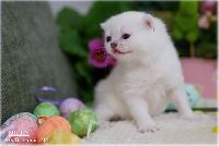 /milky