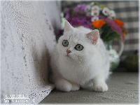 /gabriela