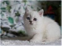 /milky