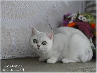 /galadriela