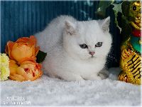 /valeria