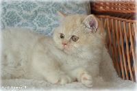 /harriet