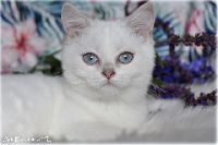 /babette