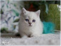 /milky