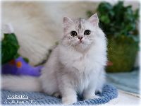 /markiza