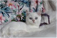 /babette