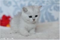 /harriet