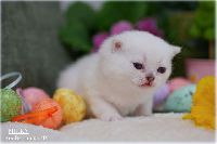 /milky