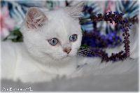 /babette