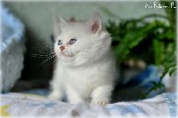 /babette