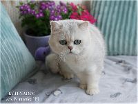 /vadim