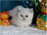 /valeria