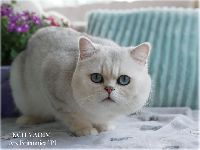 /vadim
