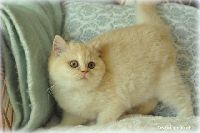 /harriet