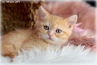 /tilda