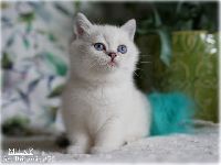 /milky