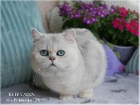 /vadim