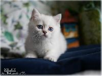 /milky