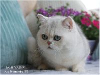 /vadim