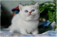 /babette